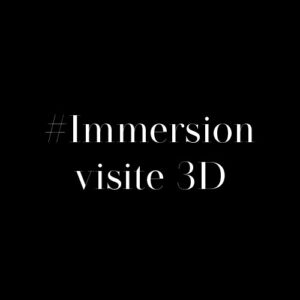 Immersion visite 3D