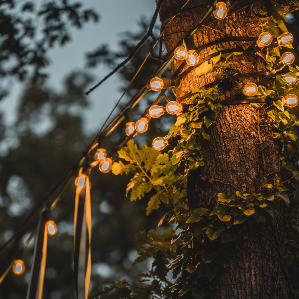 Guirlandes lanternes autour d'un arbre de nuit Guinguette Fronton restaurant