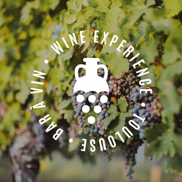 Logo rond blanc Maison Sarment sur photo vignes